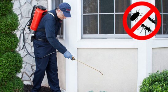 Sarıçam Fare İlaçlama böcek ilaçlama ve haşere kontrolü — ilaclama-tr.com